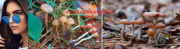 прущая мука Белоозёрский