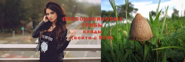 меф Белокуриха