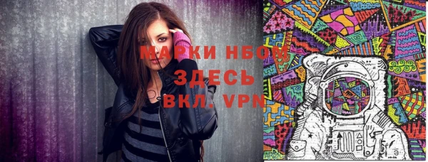 ПСИЛОЦИБИНОВЫЕ ГРИБЫ Сясьстрой