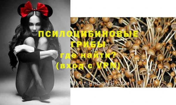 меф Белокуриха