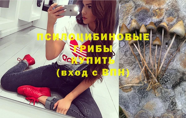 мескалин Тайга