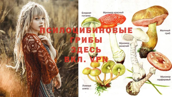 прущая мука Белоозёрский