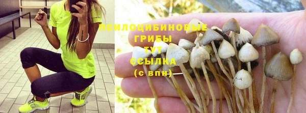 меф Белокуриха