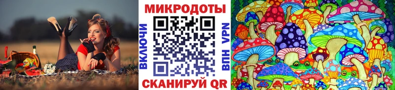 Галлюциногенные грибы Psilocybe  блэк спрут ссылки  Валуйки 